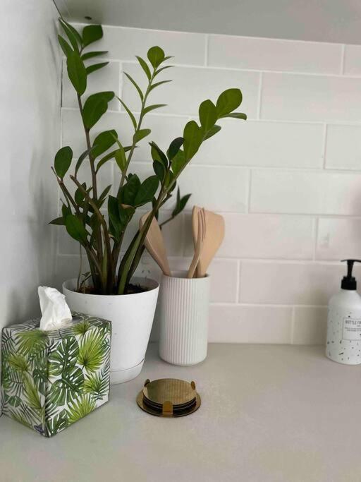 Trickett Street Hideaway Apartment